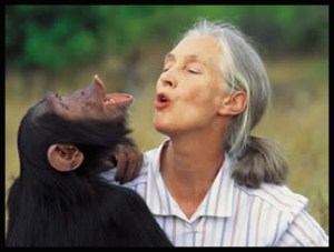 _Goodall_talking_with_a_chimp_friend_for_web
